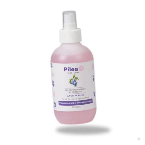 Pilea Eau coiffante & Rafraichissante 300ml