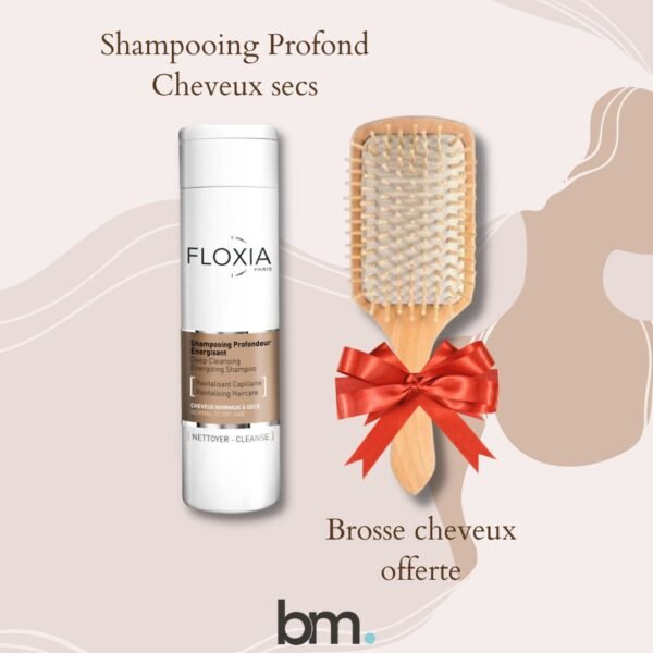 Floxia Shampooing Profond Cheveux Gras 200ml = Brosse Cheveux Offerte