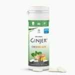 GINJER CHEWING-GUM GINGEMBRE MENTHE 30 G